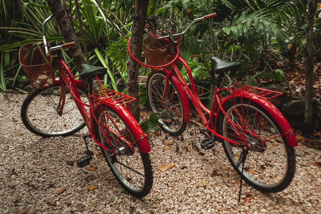 Hotel Casa Coyote Tulum Exteriér fotografie